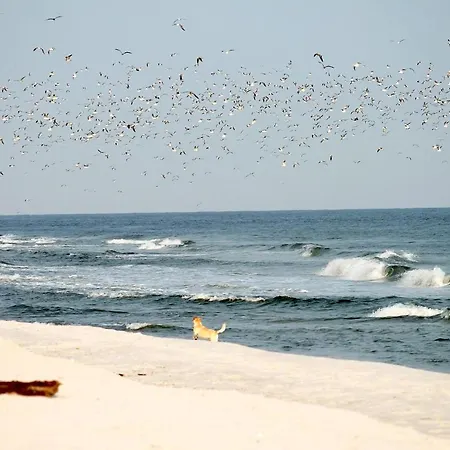 Lejlighed White Pearl 1.02