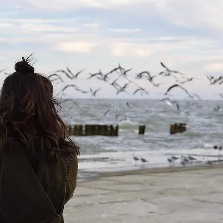 Lejlighed White Pearl 1.02