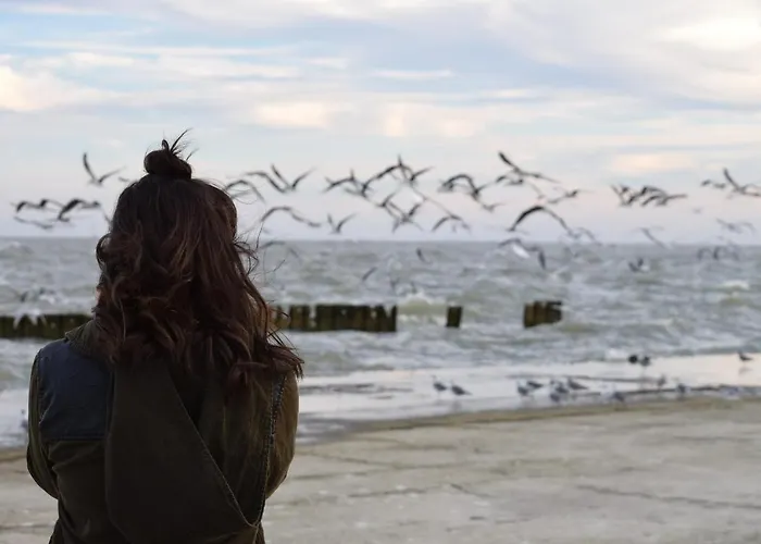 Apartment White Pearl 1.02